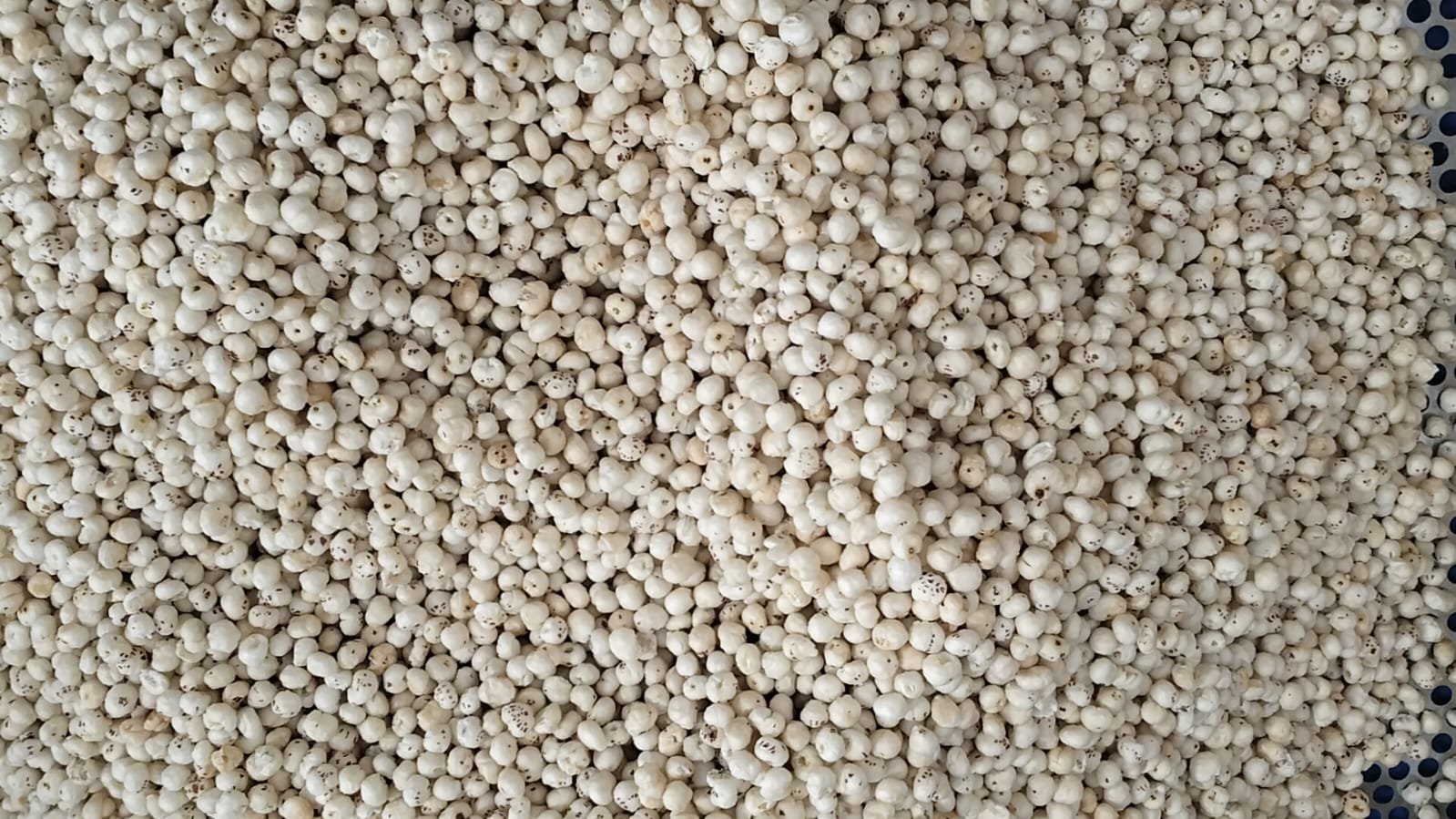 Royal Flavor(Direct farmer's makhana 4 suta
